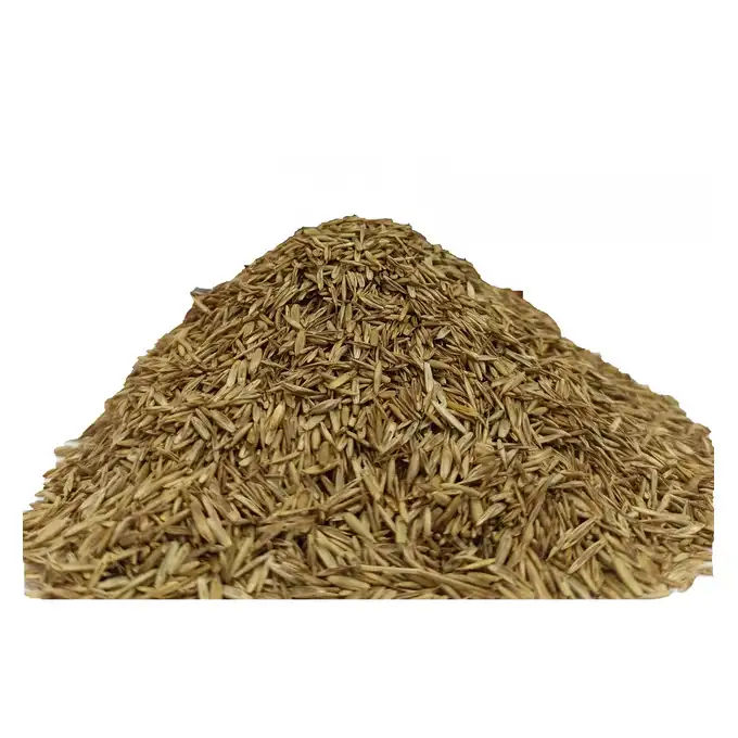 Trawa Na Tereny Suche Piaszczyste Nasłonecznione 5kg - Wytrzymała