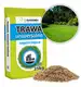 Trawa UNIWERSALNA 25kg - Super Jakość Niska Cena