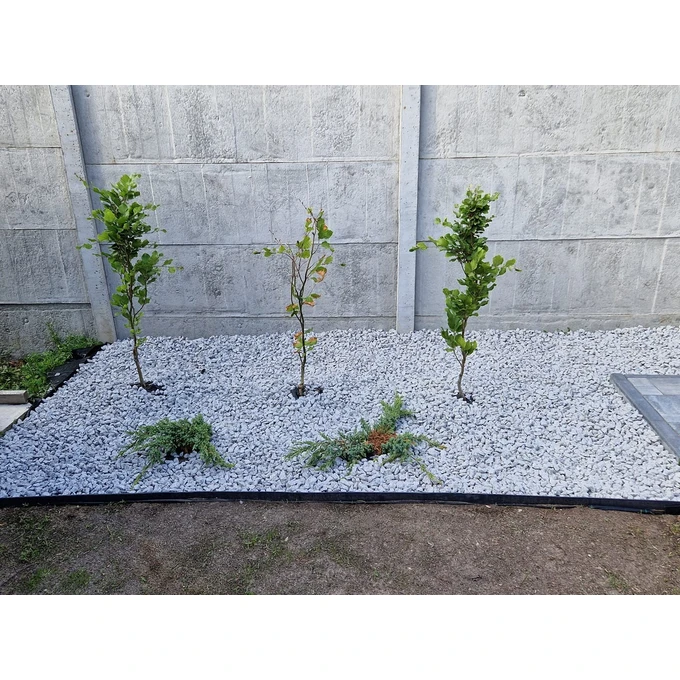 Biovita GRYS Dalmatyńczyk granit 16-22mm 20kg