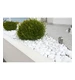 Biovita Otoczak biały Extra White Thassos 60-100mm 20kg