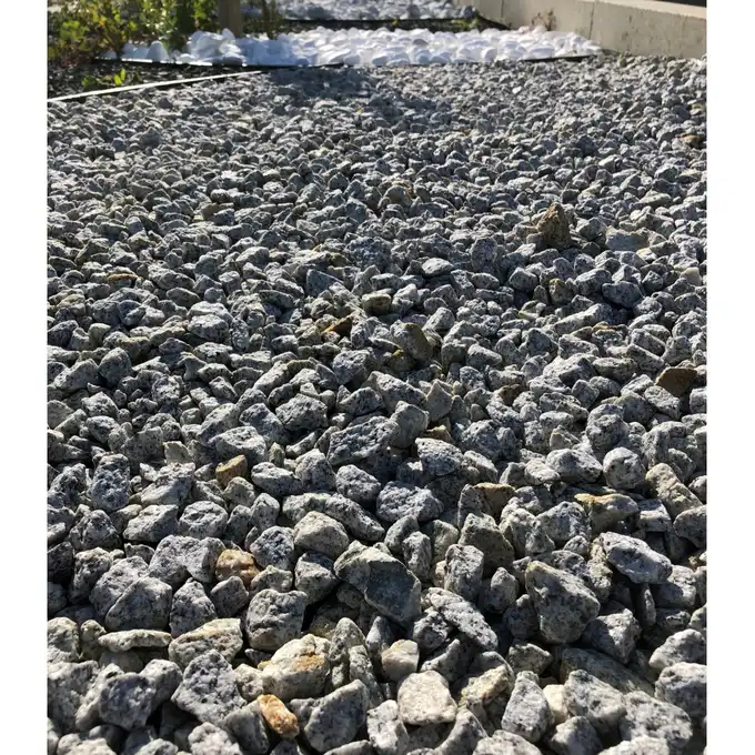 Biovita GRYS Dalmatyńczyk granit 16-22mm 20kg