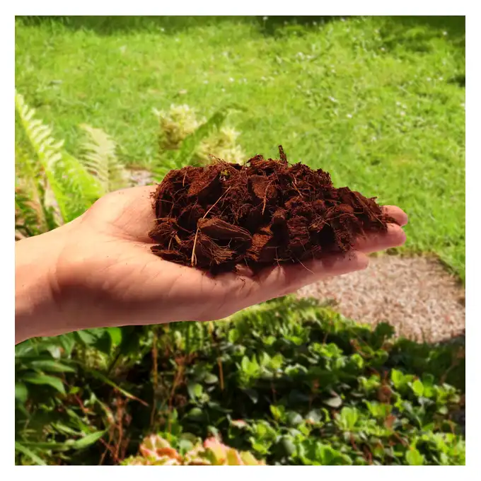 Czipsy kokosowe coco chips rozluźnione 5l