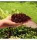 Czipsy kokosowe coco chips rozluźnione 5l