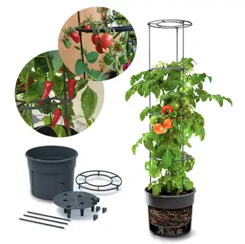 Doniczka do uprawy pomidorów, warzyw, owoców Tomato Grower 28L antracyt