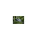 Grabie do trawnika Fiskars Xact L 540 mm