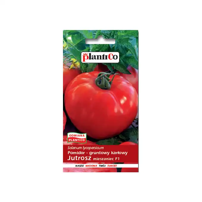 Pomidor gruntowy Jutrosz - mieszaniec PlantiCo 0,5g