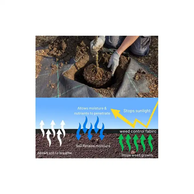 Agrotkanina ogrodnicza Skarden 1,6x50 m, 90 g/m2 czarna + kołki mocujące
