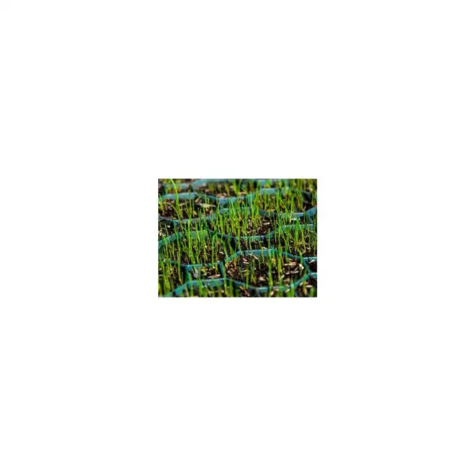 Krata stabilizująca STELLA GREEN (47,3x47,3x4cm) 192 szt. PALETA