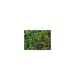 Krata stabilizująca STELLA GREEN (47,3x47,3x4cm) 192 szt. PALETA