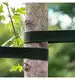 Taśma do wiązania drzewek 5 cm - 50m
