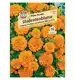 Aksamitka 'Petite Orange' Nasiona PREMIUM Sperli
