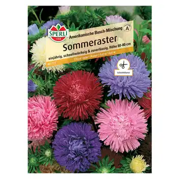 Aster 'Amerikanische Busch-Mischung' Nasiona PREMIUM Sperli