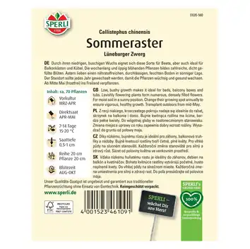 Aster 'Lüneburger Zwerg' Nasiona PREMIUM Sperli