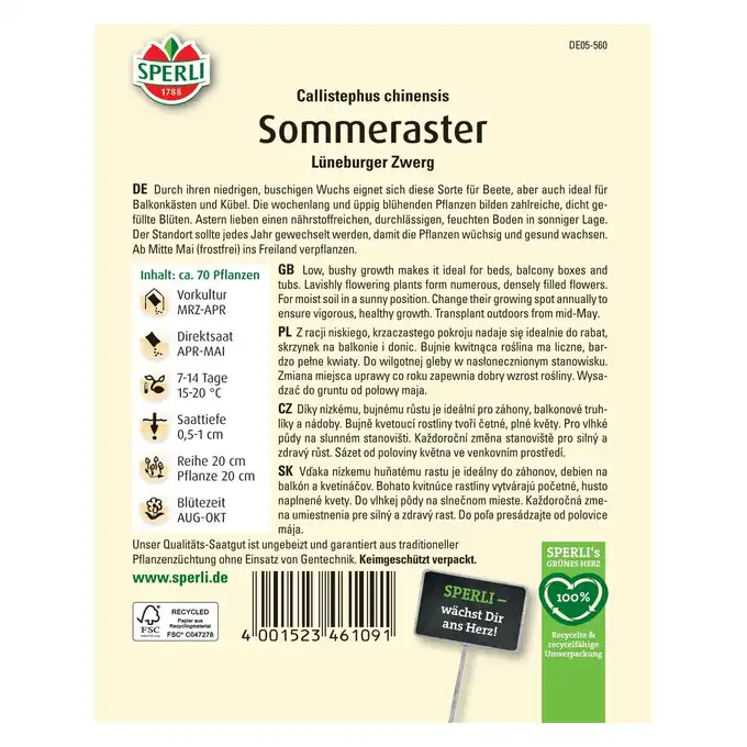 Aster 'Lüneburger Zwerg' Nasiona PREMIUM Sperli