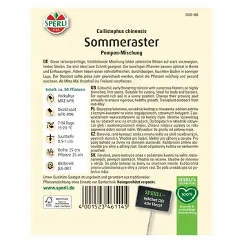 Aster 'Pompon-Mischung' Nasiona PREMIUM Sperli
