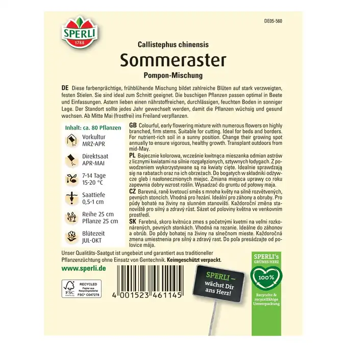 Aster 'Pompon-Mischung' Nasiona PREMIUM Sperli
