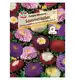 Aster 'Pompon-Mischung' Nasiona PREMIUM Sperli