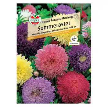 Aster 'Riesen-Prinzess-Mischung' Nasiona PREMIUM Sperli