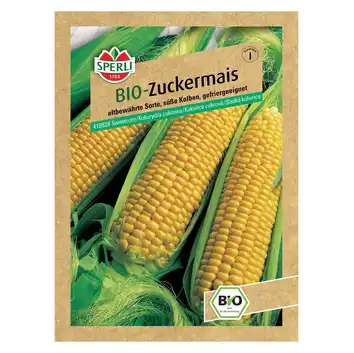 BIO Kukurydza cukrowa 'Golden Bantam' Nasiona PREMIUM Sperli