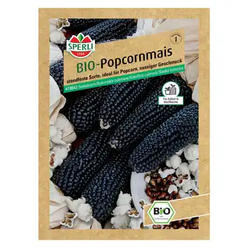 BIO Kukurydza cukrowa 'Negro Cine' Nasiona PREMIUM Sperli