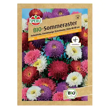 BIO aster chiński 'Zuckertüten Mix' Nasiona PREMIUM Sperli