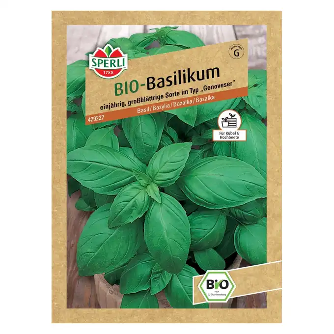 BIO bazylia 'Großer Grüner Genoveser' Nasiona PREMIUM Sperli