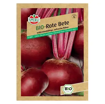 BIO burak ćwikłowy 'Rote Kugel 2/Sturoman' Nasiona PREMIUM Sperli