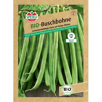 BIO fasola karłowa 'Domino' Nasiona PREMIUM Sperli