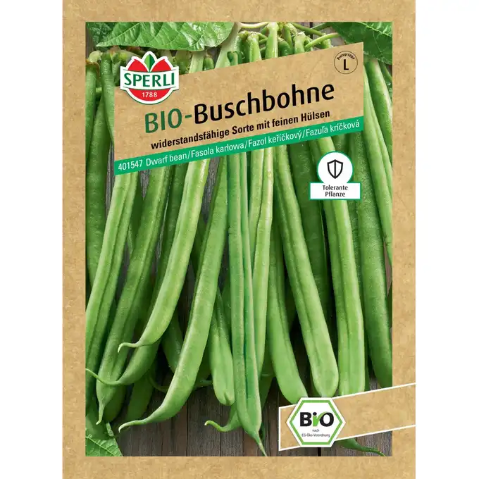 BIO fasola karłowa 'Domino' Nasiona PREMIUM Sperli