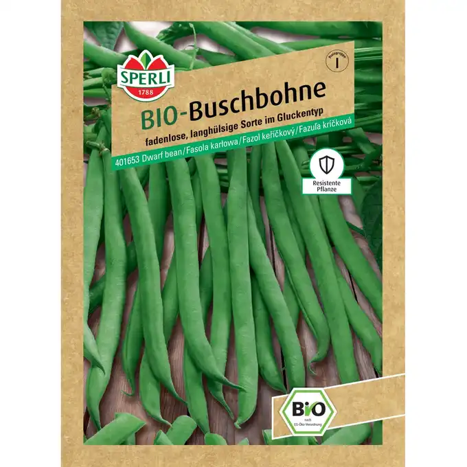 BIO fasola karłowa 'Maxi' Nasiona PREMIUM Sperli