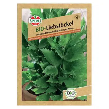 BIO lubczyk ogrodowy 'Maggikraut' Nasiona PREMIUM Sperli