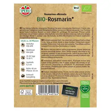 BIO rozmaryn '' Nasiona PREMIUM Sperli