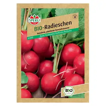 BIO rzodkiewka 'Raxe' Nasiona PREMIUM Sperli