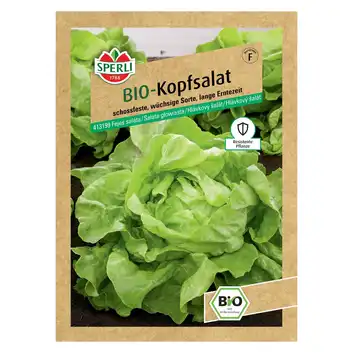 BIO sałata głowiasta 'Suzan' Nasiona PREMIUM Sperli