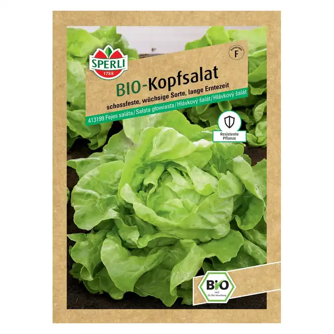 BIO sałata głowiasta 'Suzan' Nasiona PREMIUM Sperli