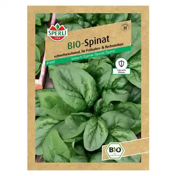 BIO szpinak 'Corvair' Nasiona PREMIUM Sperli