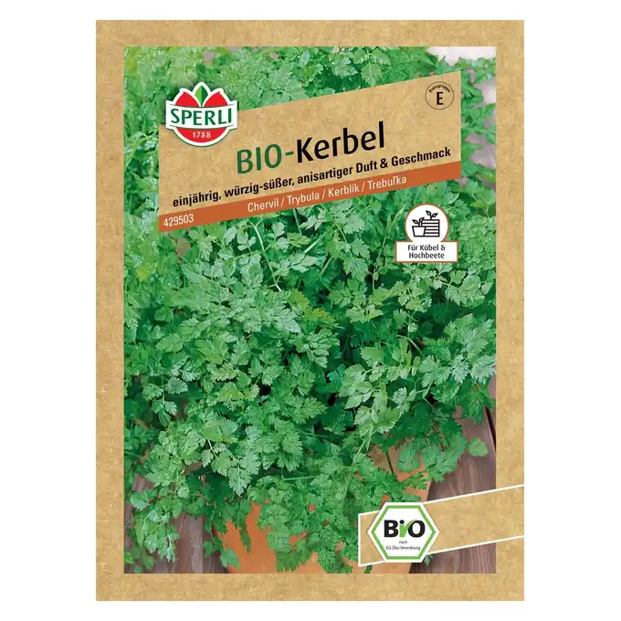 BIO trybula 'Fijne Krul' Nasiona PREMIUM Sperli