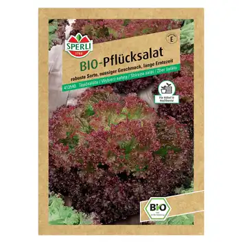 BIO wybierz sałatę 'Lollo rossa' Nasiona PREMIUM Sperli
