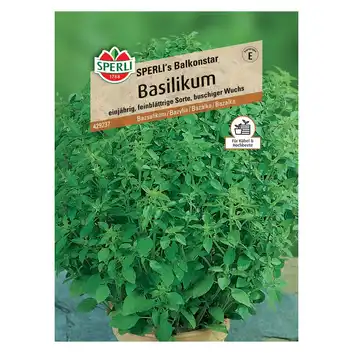 Bazylia 'SPERLI's Balkonstar' Nasiona PREMIUM Sperli