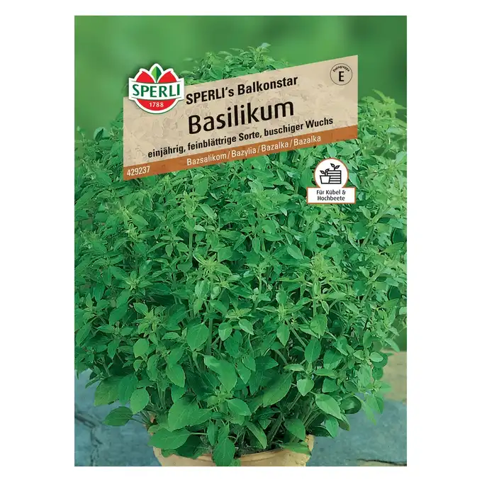 Bazylia 'SPERLI's Balkonstar' Nasiona PREMIUM Sperli