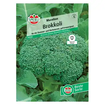Brokuł 'Marathon' Nasiona PREMIUM Sperli