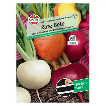 Burak ćwikłowy 'Golden Eye, Chioggia Guardsmark, Avalanche' Nasiona PREMIUM Sperli
