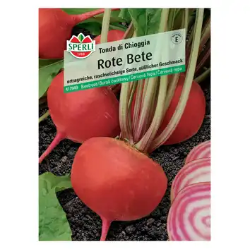Burak ćwikłowy 'Tonda di Chioggia' Nasiona PREMIUM Sperli