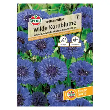Chaber bławatek 'SPERLI's Wilde' Nasiona PREMIUM Sperli