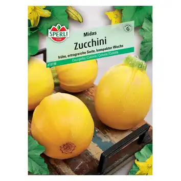 Cukinia 'Midas' Nasiona PREMIUM Sperli