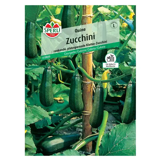 Cukinia 'Quine' Nasiona PREMIUM Sperli