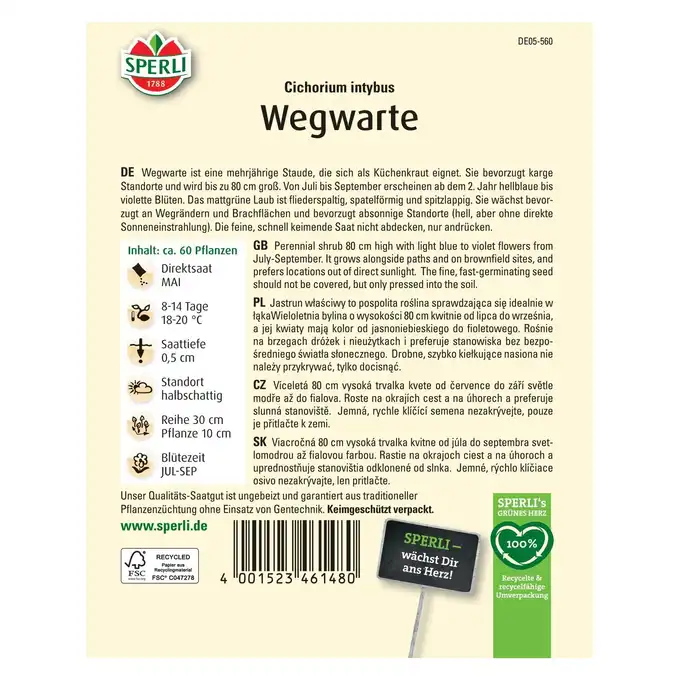 Cykoria podróżnik 'Wegwarte' Nasiona PREMIUM Sperli