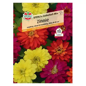 Cynia 'SPERLI's Zauberball-Mix' Nasiona PREMIUM Sperli
