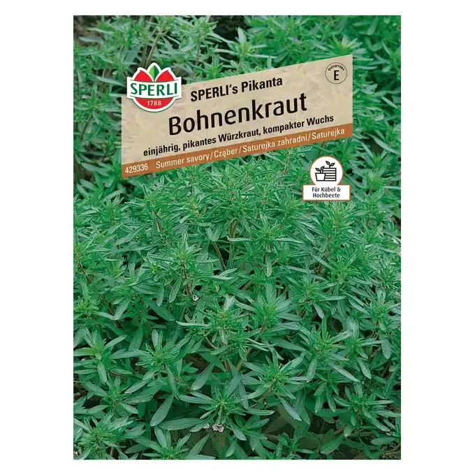 Cząber 'SPERLI's Pikanta' Nasiona PREMIUM Sperli