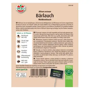 Czosnek niedźwiedzi 'Waldknoblauch' Nasiona PREMIUM Sperli
